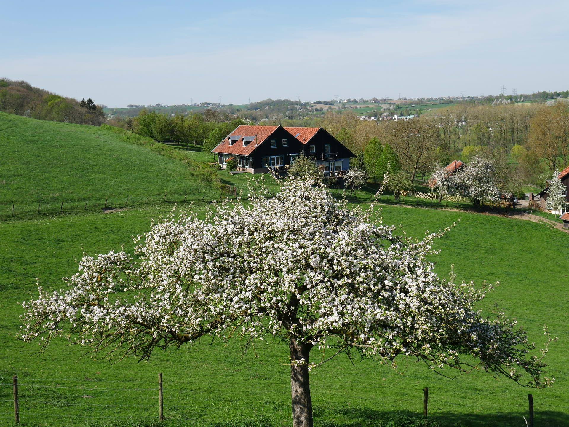 Schoonzicht